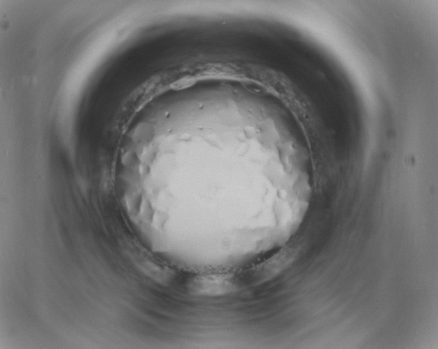 X0000060770093200511241804