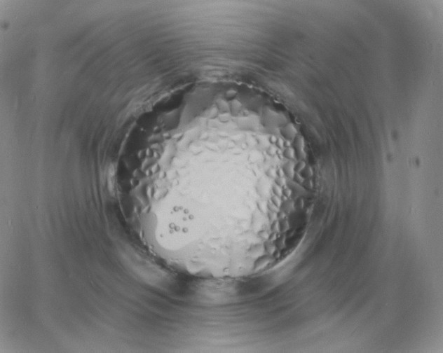 X0000060770094200511241804