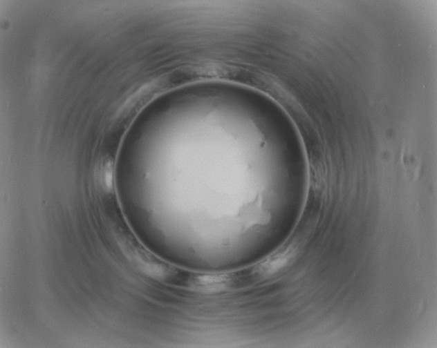 X0000060770095200511241804