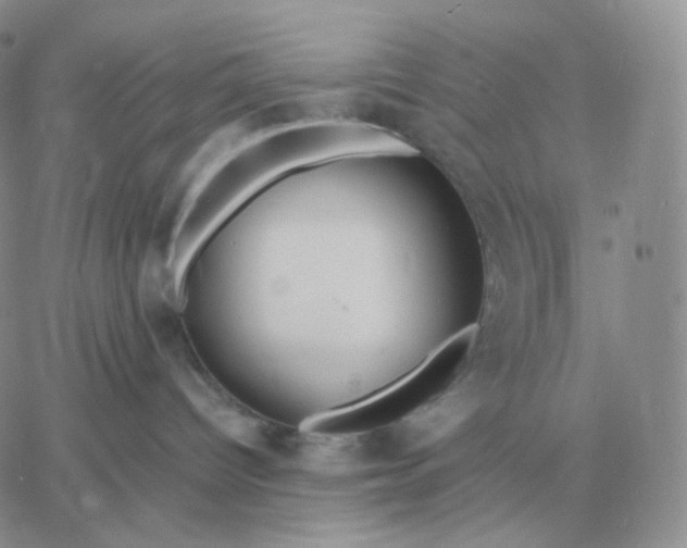 X0000060770096200511241804