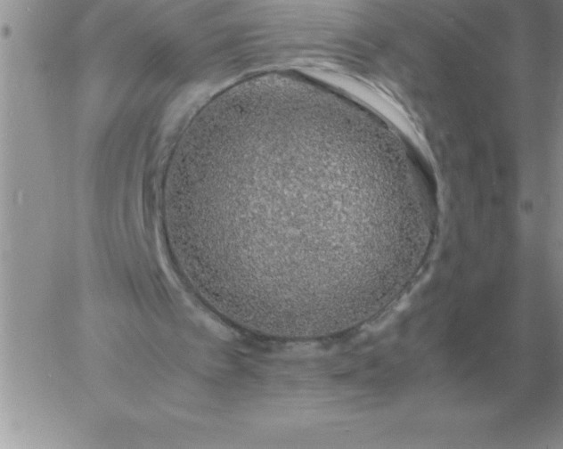 X0000060770097200511241804