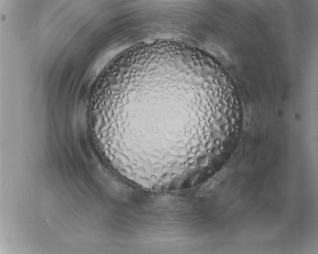 X0000060770098200511241804