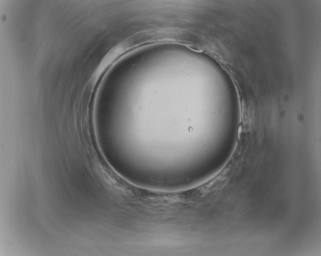 X0000060770099200511241804