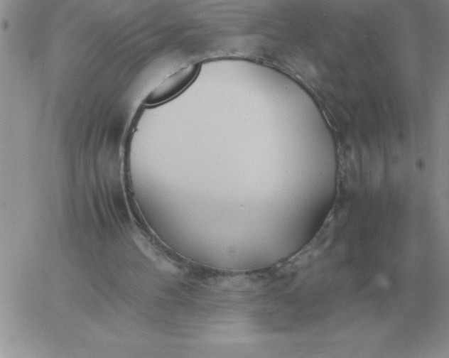 X0000060770100200511241804