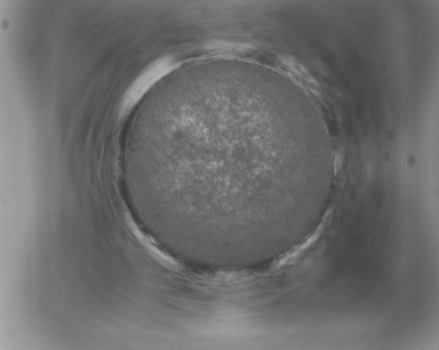 X0000060770101200511241804