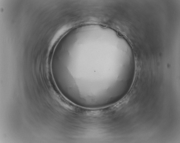 X0000060770102200511241804