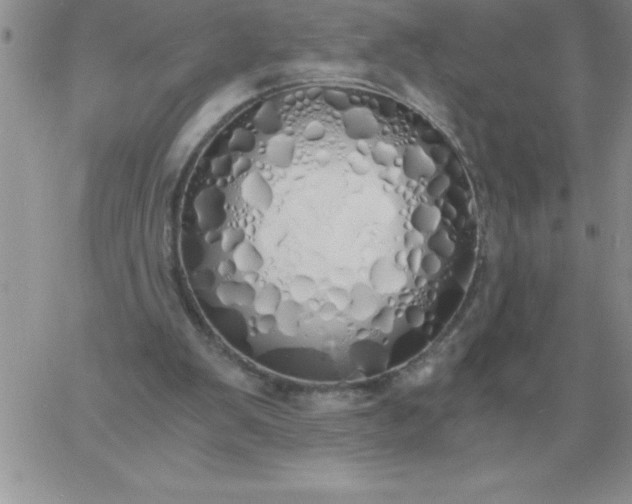 X0000060770103200511241804