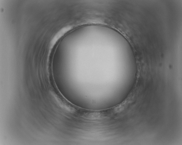 X0000060770104200511241804