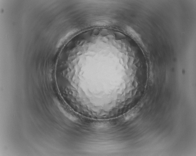 X0000060770106200511241804