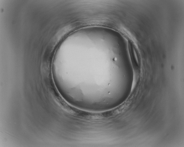 X0000060770107200511241803