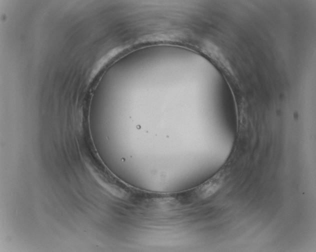 X0000060770108200511241803