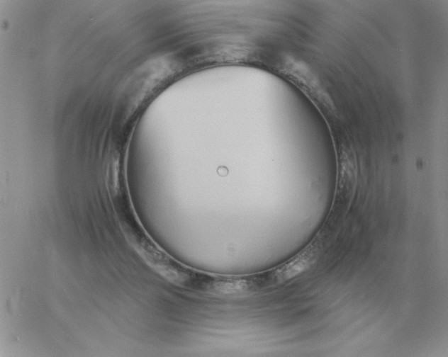 X0000060770110200511241803