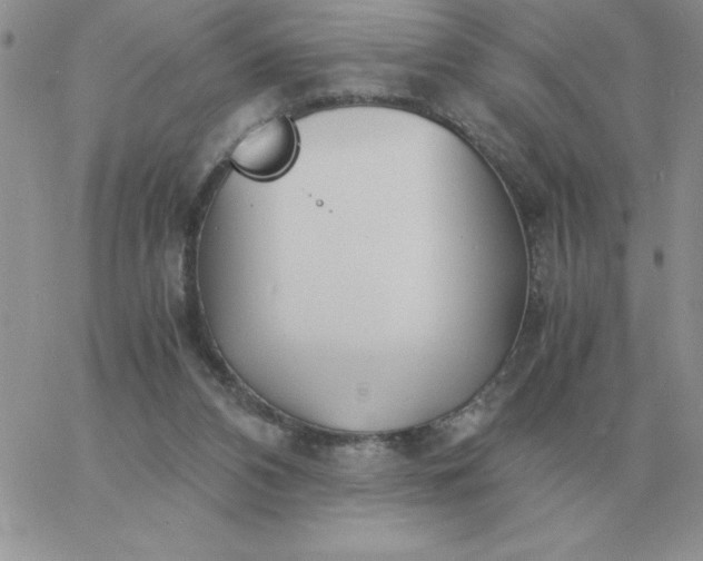 X0000060770112200511241803