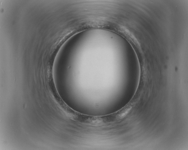 X0000060770113200511241803