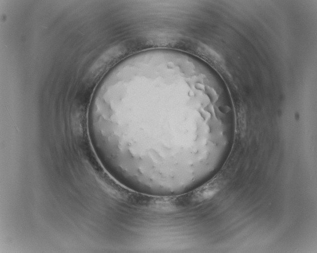 X0000060770114200511241803