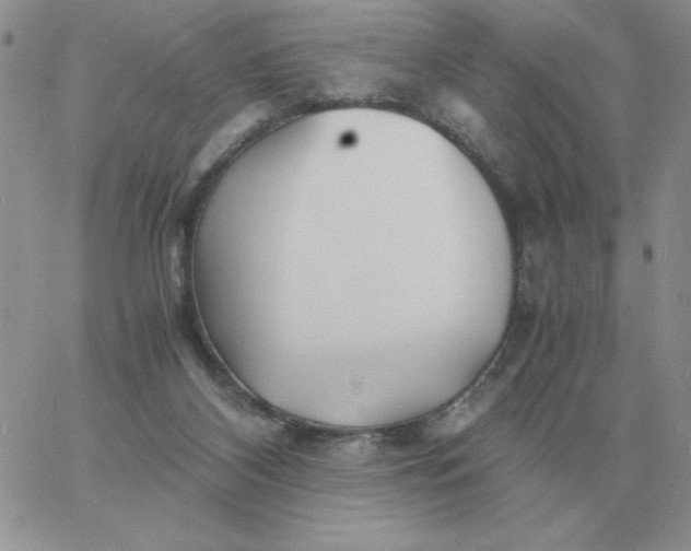 X0000060770116200511241803