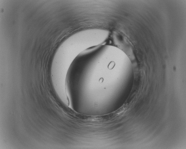 X0000060770117200511241803