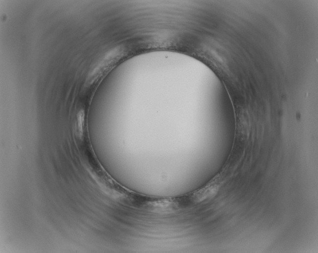 X0000060770118200511241803