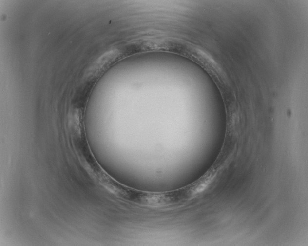 X0000060770121200511241803