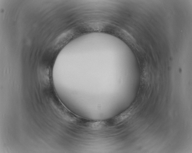 X0000060770122200511241803