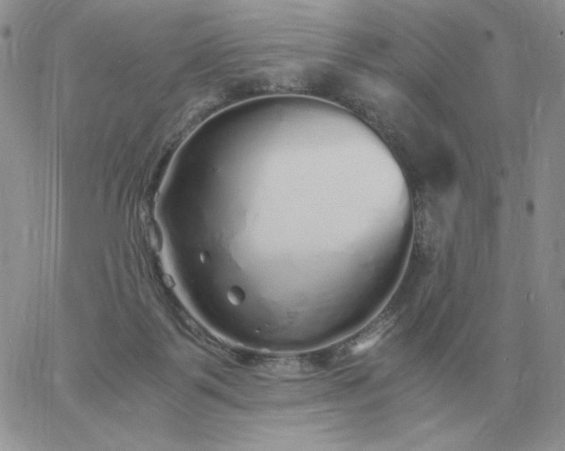 X0000060770123200511241803