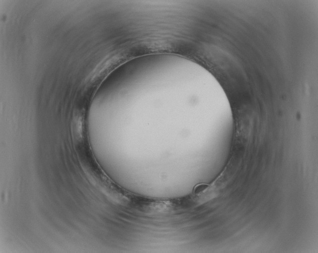 X0000060770124200511241803