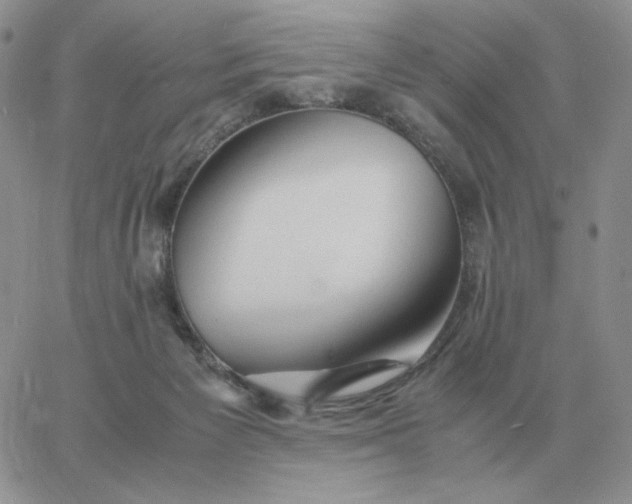 X0000060770125200511241803