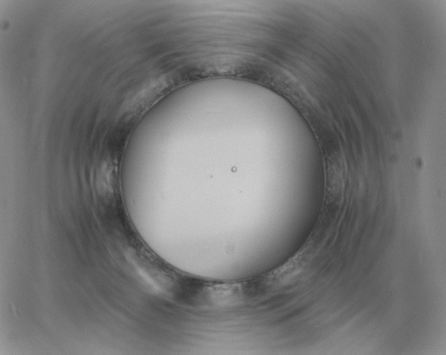 X0000060770126200511241803