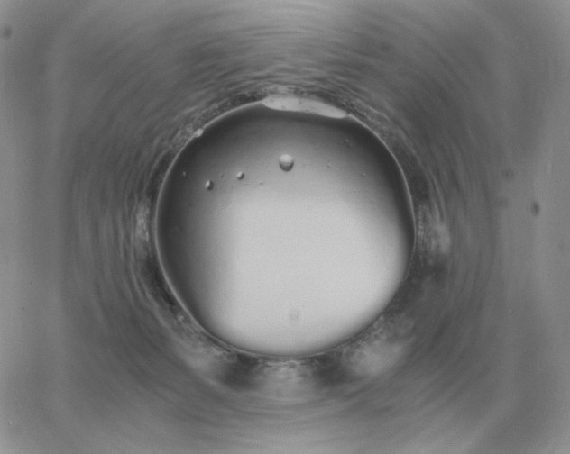 X0000060770127200511241803