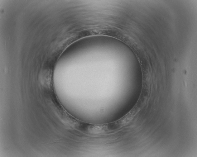 X0000060770129200511241803