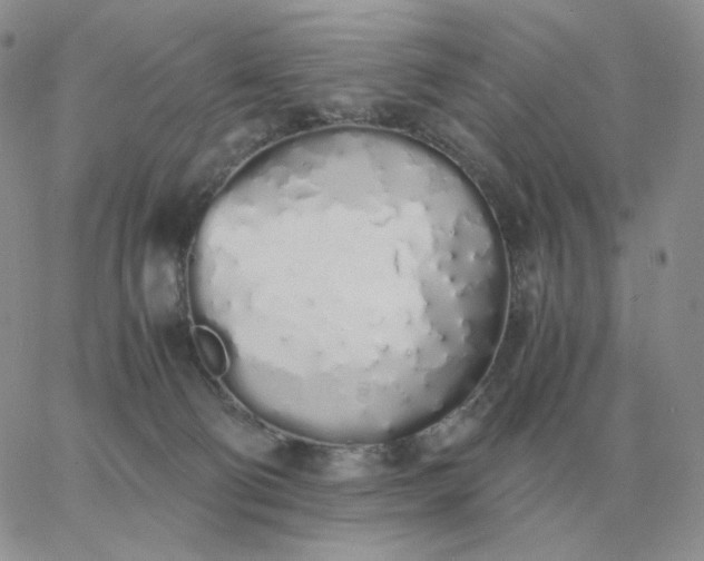 X0000060770130200511241803