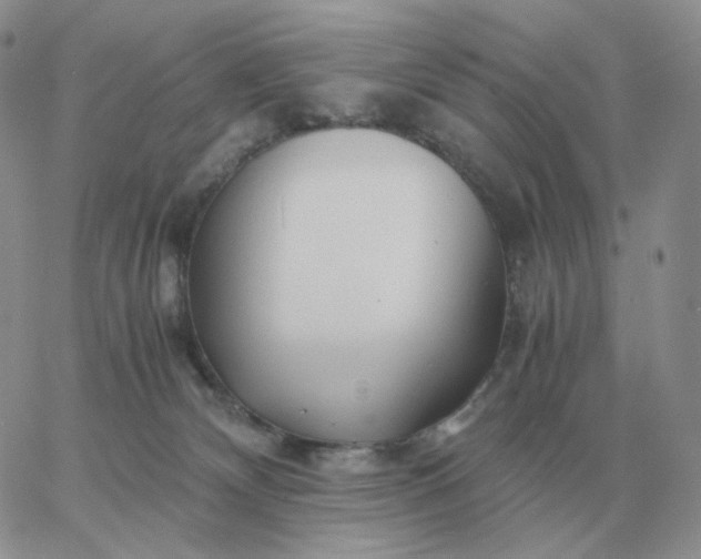 X0000060770132200511241803