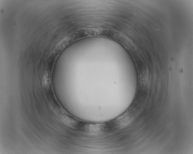 X0000060770134200511241803