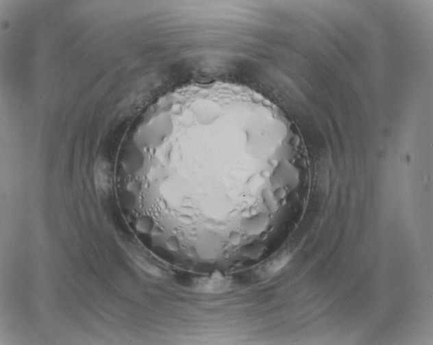 X0000060770135200511241803