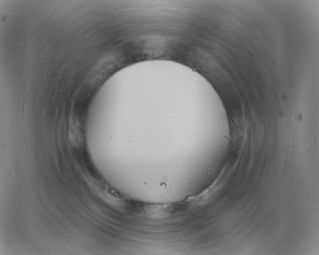 X0000060770136200511241803