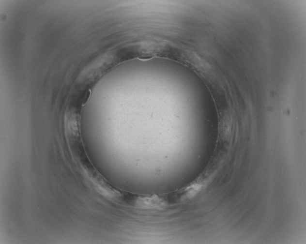 X0000060770137200511241803