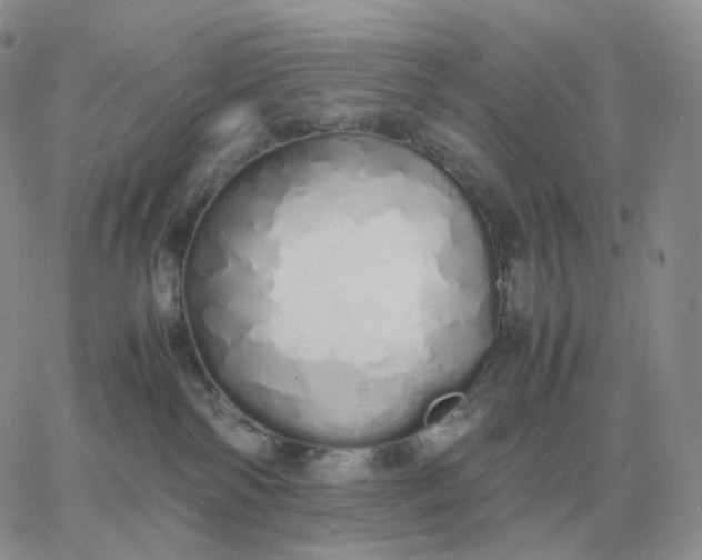 X0000060770138200511241803