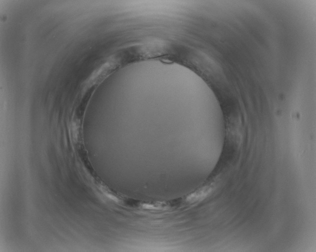 X0000060770139200511241803