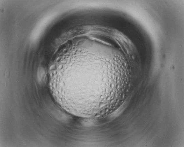 X0000060770142200511241803