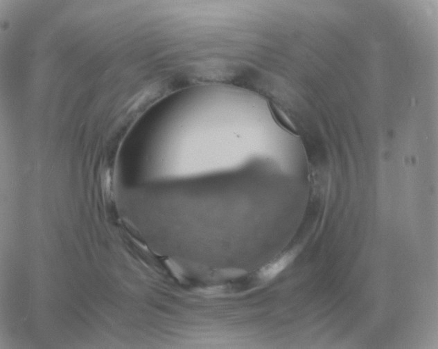 X0000060770143200511241803