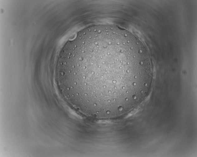 X0000060770145200511241802