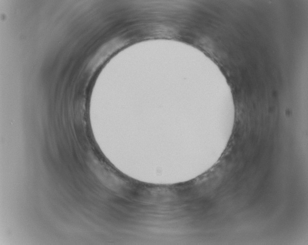 X0000060770146200511241802