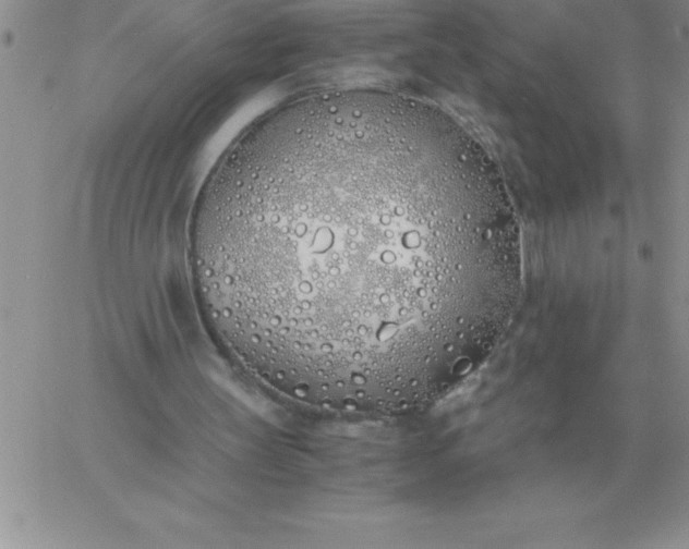 X0000060770147200511241802