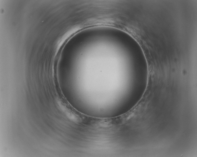 X0000060770148200511241802