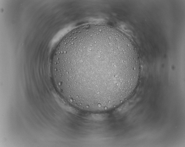 X0000060770149200511241802