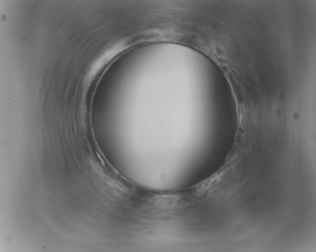 X0000060770150200511241802