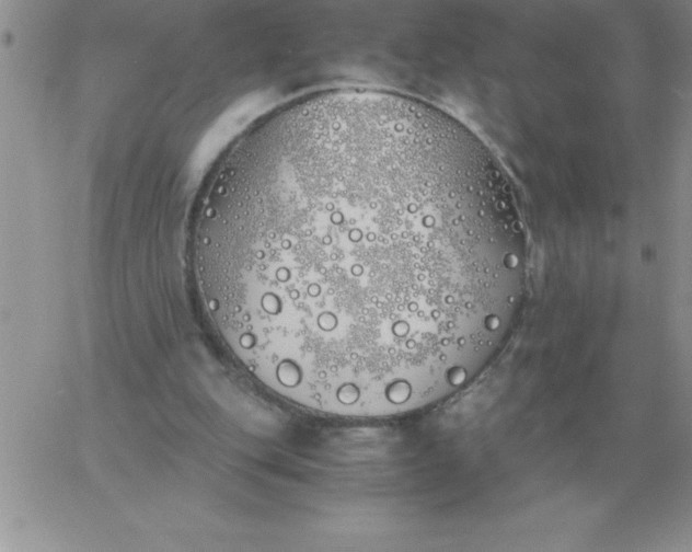 X0000060770151200511241802