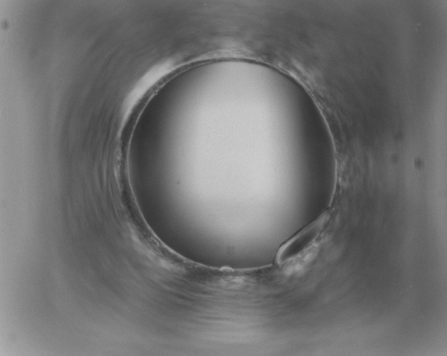 X0000060770152200511241802