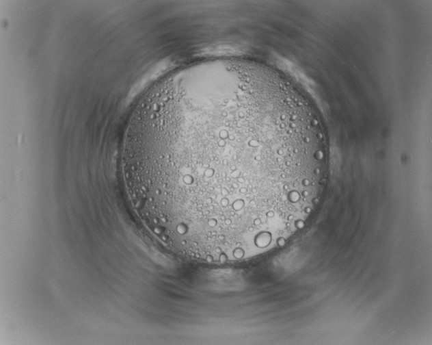 X0000060770153200511241802