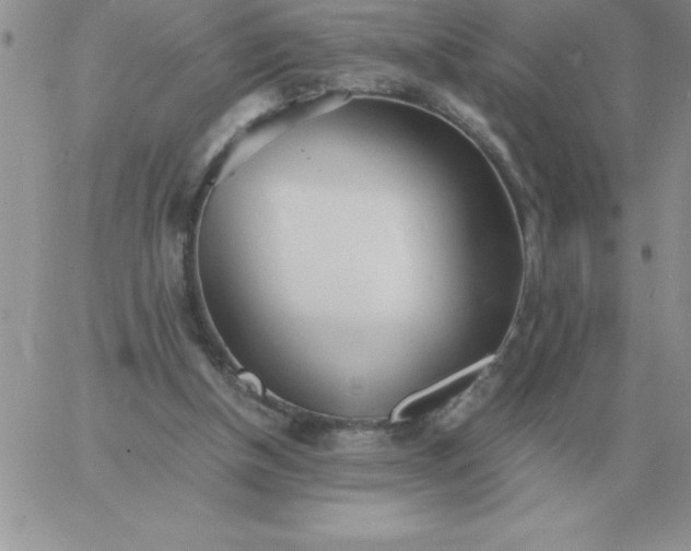 X0000060770154200511241802